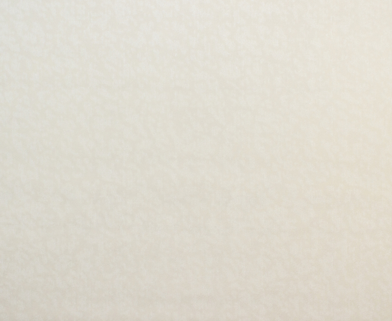 Вінілові шпалери на флізеліновій основі LS Зан ДХН-1425/2 пісочний 10,05 x 1,06 м - 2