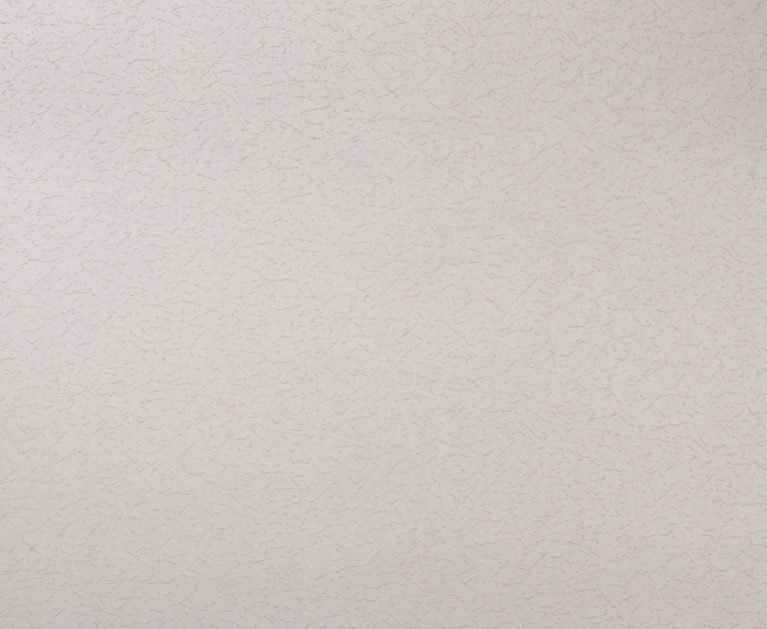 Вінілові шпалери на флізеліновій основі LS Під фарбу PRO 4 - Light1 молочний 10,05 x 1,06 м - 2