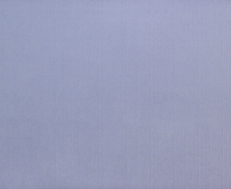 Вінілові шпалери на флізеліновій основі LS Призма ДХН-1493/5 джинсовий 10,05 x 1,06 м - 2